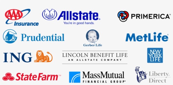 How to Choose the Best Life Insurance Company: Tips and Insights