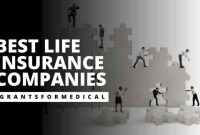 Best Online Life Insurance Companies for Easy Application and Approval