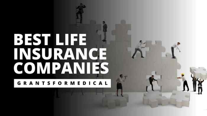 Best Online Life Insurance Companies for Easy Application and Approval