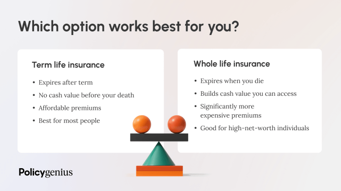 Term vs. Whole Life Insurance: Which Is Right for You?