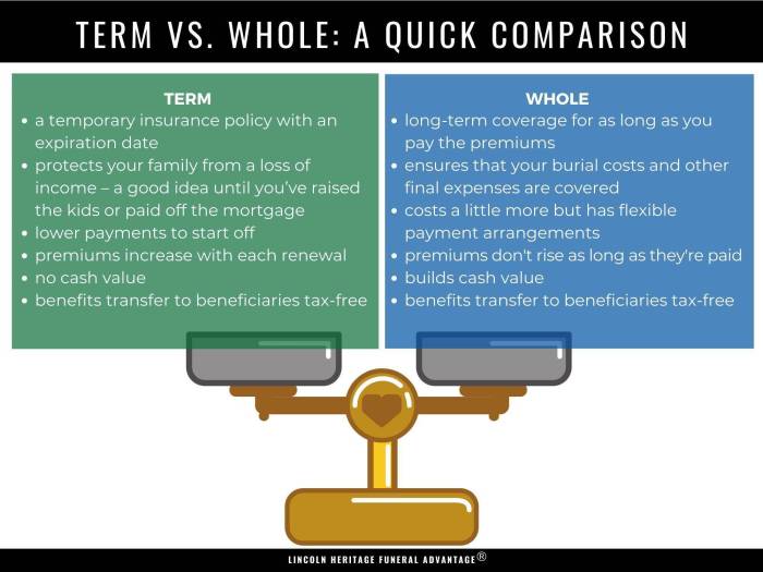 Insurance life types term whole vs different explained credit Insurance life types term whole vs different explained credit