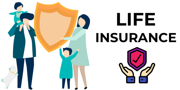 How to Choose the Best Life Insurance Company: Tips and Insights