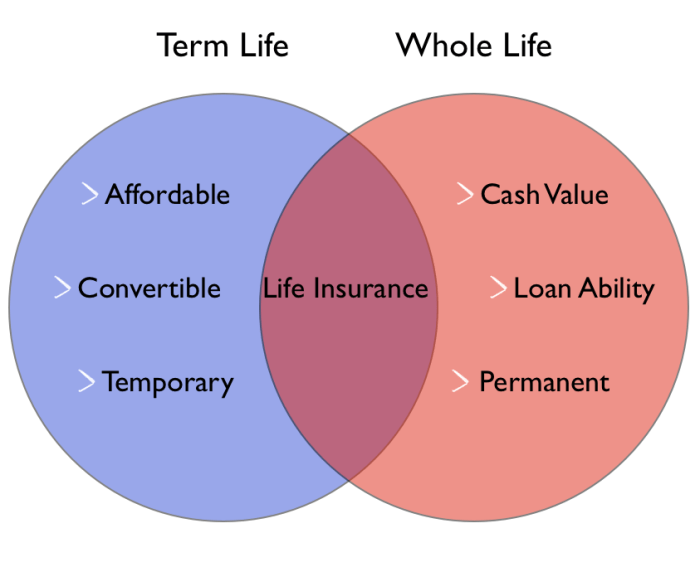 Term vs. Whole Life Insurance: Which Is Right for You?
