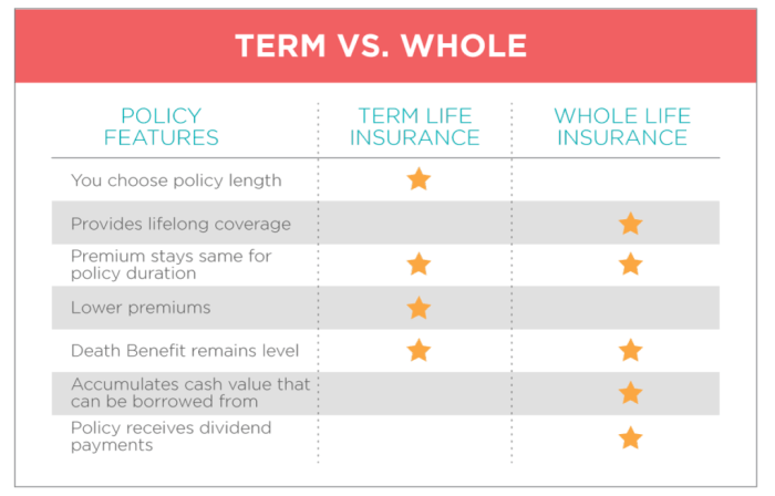 Term vs. Whole Life Insurance: Which Is Right for You?