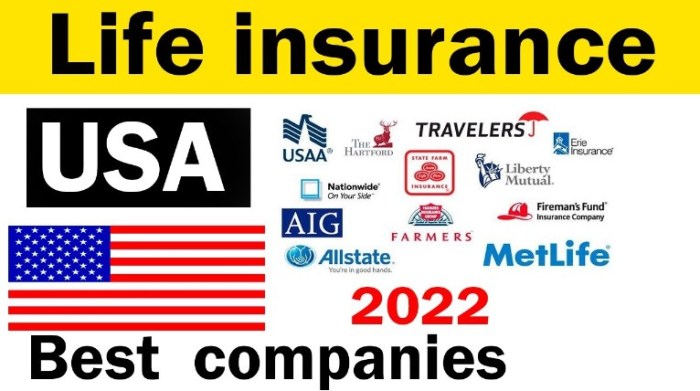 Top Universal Life Insurance Providers in the USA
