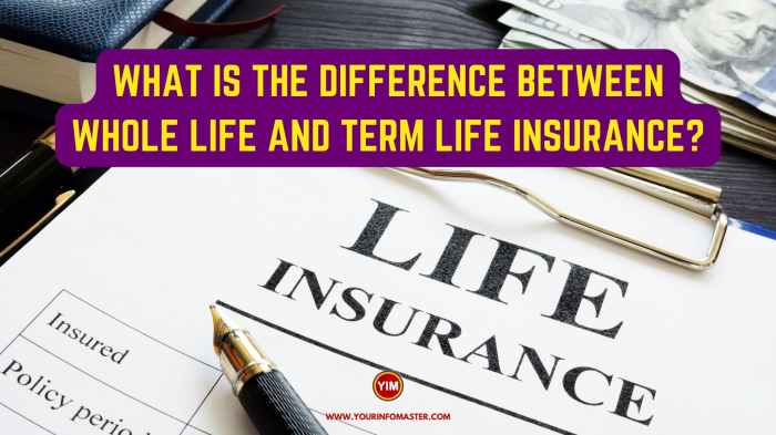 Term vs. Whole Life Insurance: Which Is Right for You?