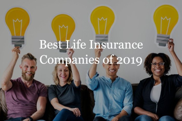 Top-Rated Life Insurance Companies for Families in the USA