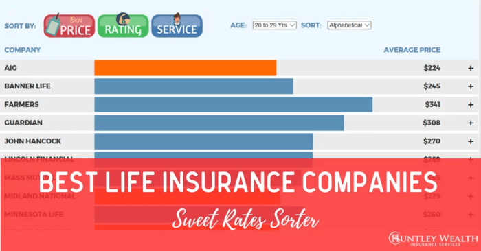 Top-Rated Life Insurance Companies for Families in the USA