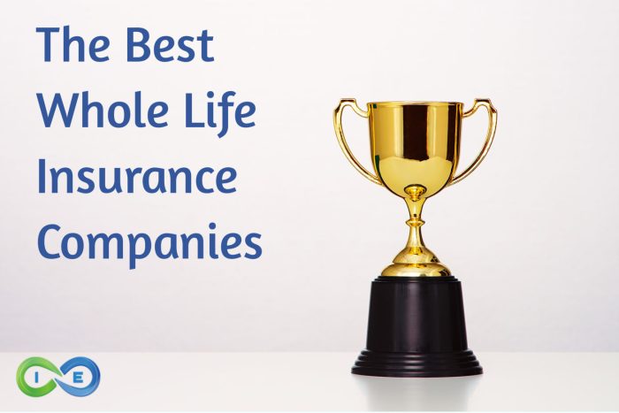 Top-Rated Life Insurance Companies for Families in the USA