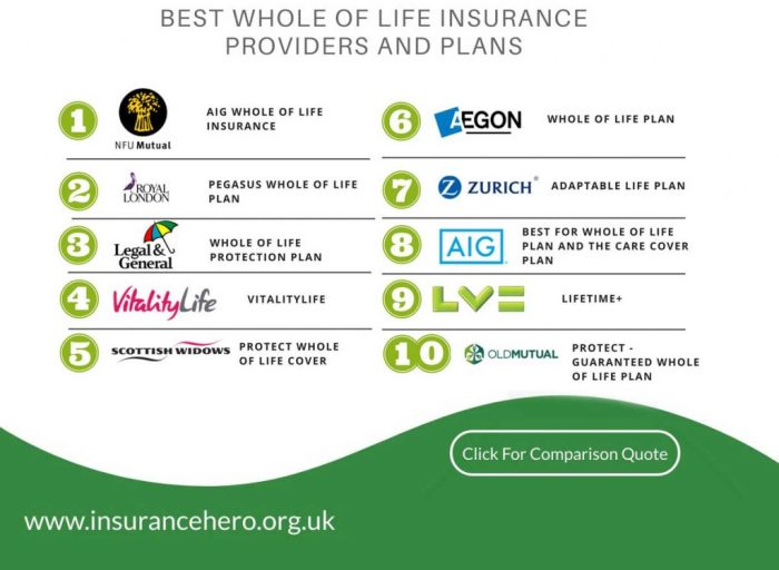 Best Life Insurance Policies in 2025: A Comprehensive Guide
