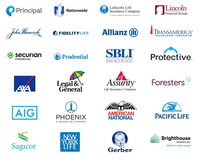 Top-Rated Life Insurance Companies for Families in the USA